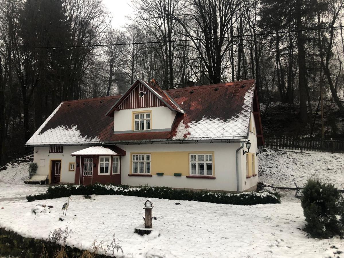Adelle Cottage In Krkonose National Park Rudník Eksteriør billede